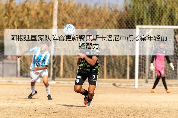 阿根廷国家队阵容更新聚焦斯卡洛尼重点考察年轻前锋潜力